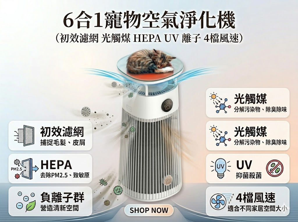 6合1寵物空氣淨化機 （初效濾網 光觸煤 HEPA UV 離子 4檔風速）