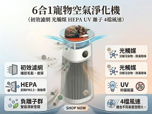6合1寵物空氣淨化機 （初效濾網 光觸煤 HEPA UV 離子 4檔風速）